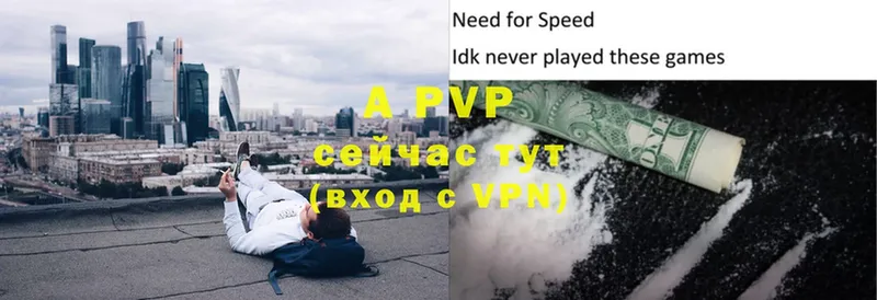 kraken   Кудымкар  APVP СК 